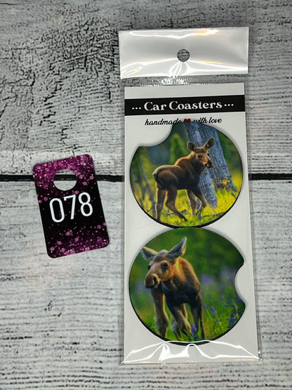 Car Coasters-Animals